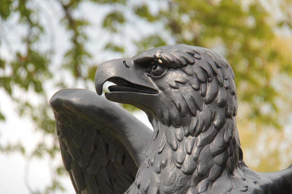 F6517528-A69C-4CDD-8996-627E34166AA8