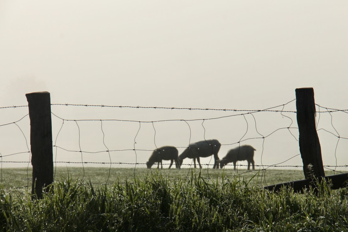 12E205F9-5E1E-4B75-AA6B-EA08C40A5EFD