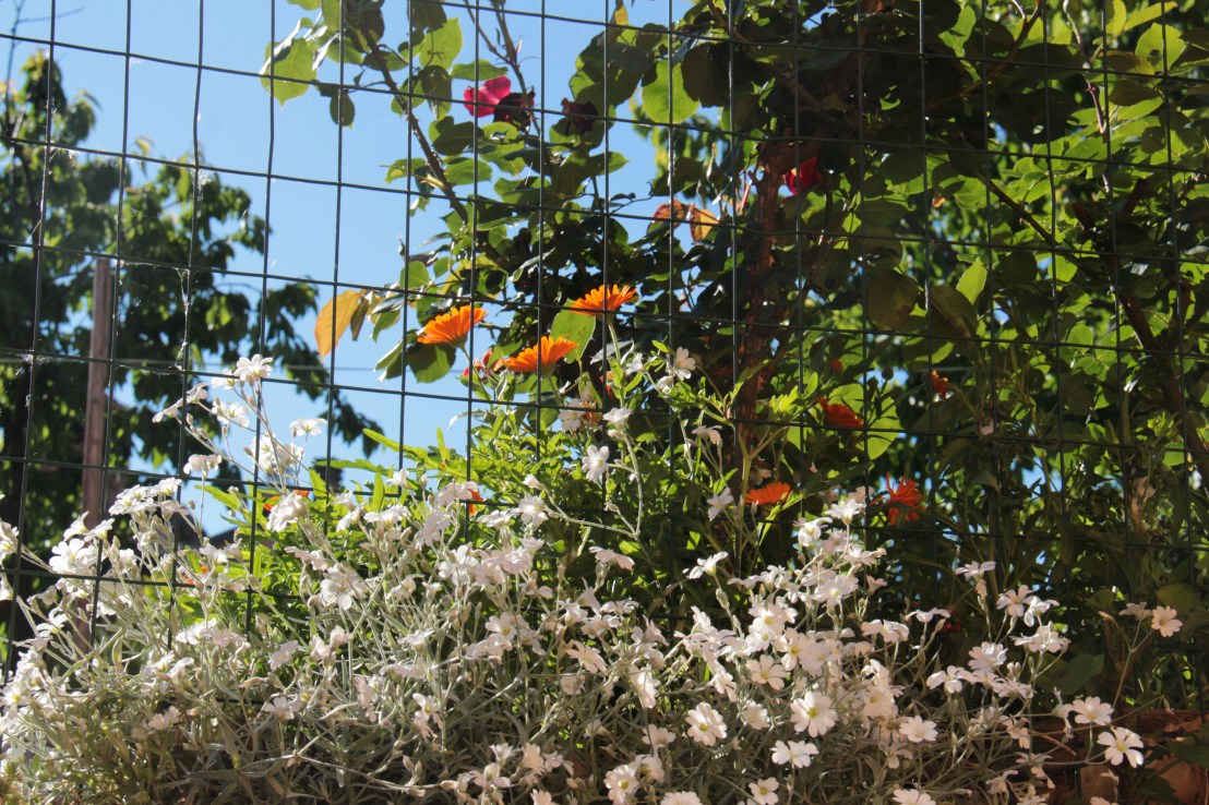 45D41C90-568A-4DED-9F3B-153F160BB47D