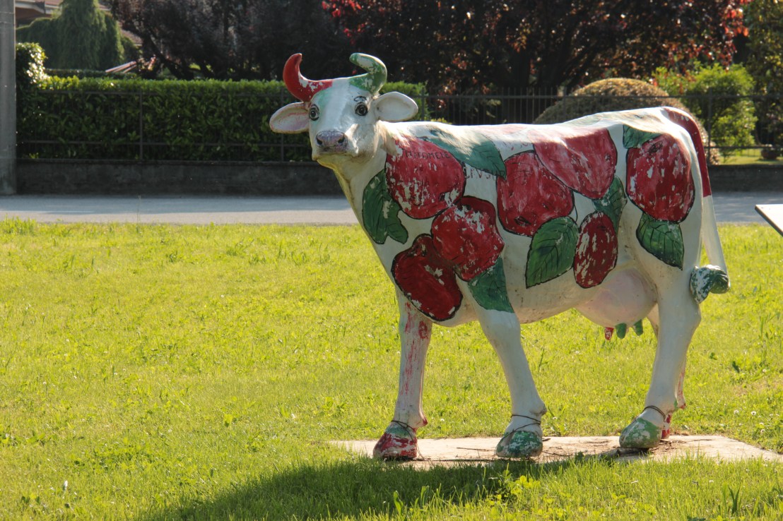 51EC9434-FB0D-46AB-843B-4295697CAE5A