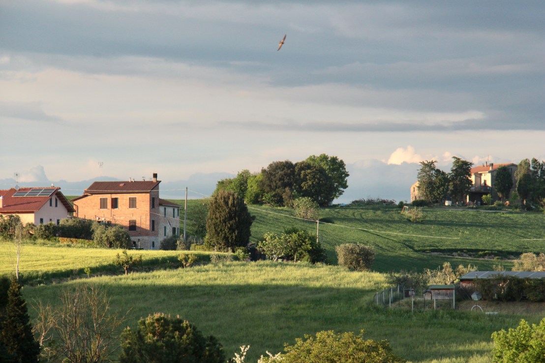 54B8F7F8-19F4-496F-8D61-4C6E9D8D3FE5