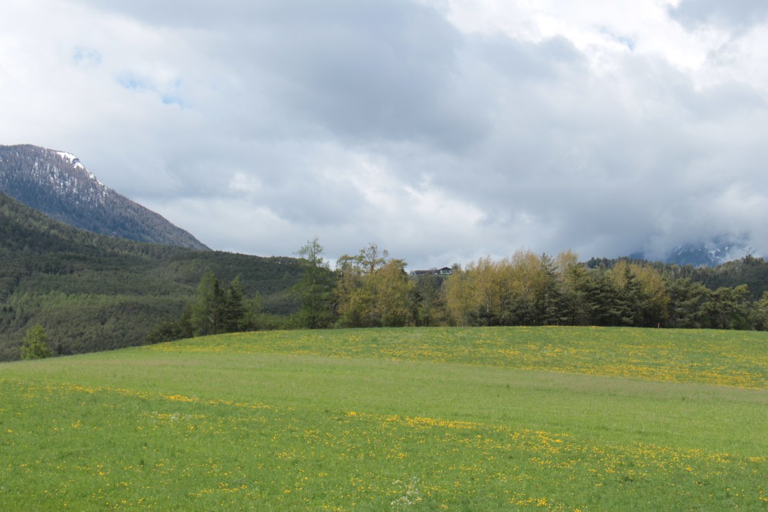 559B8D31-63E4-4217-AC11-DBE57A1EBBA6