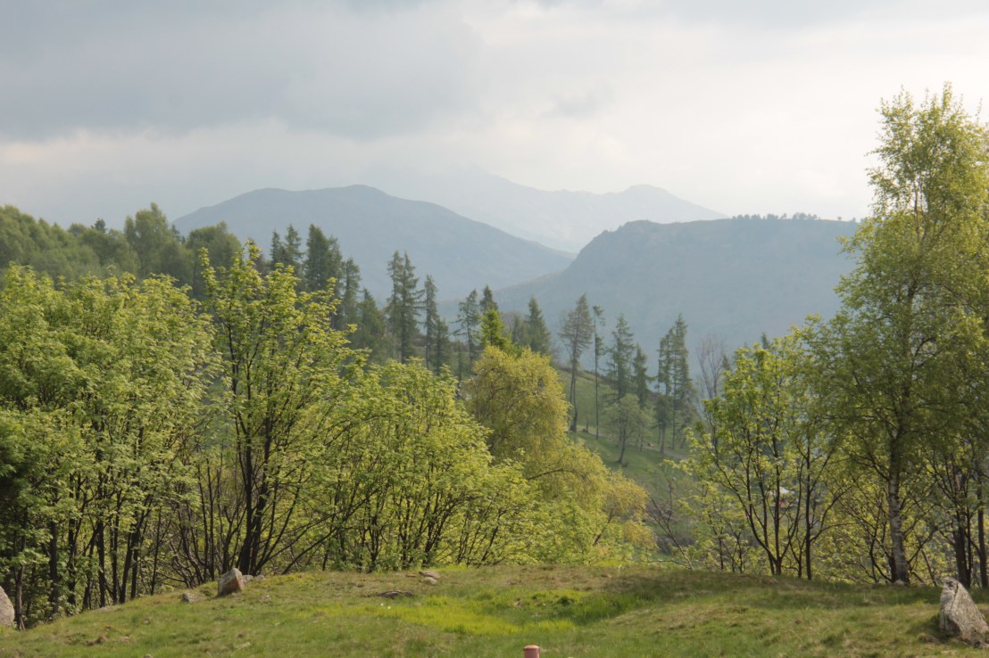 5FFC560B-49BB-4B4A-9E80-D4DEC9D228B0