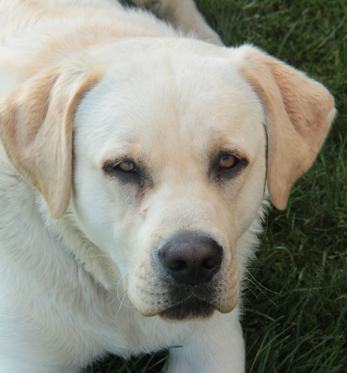 69E49C35-9883-437C-A532-6D897A102B5D