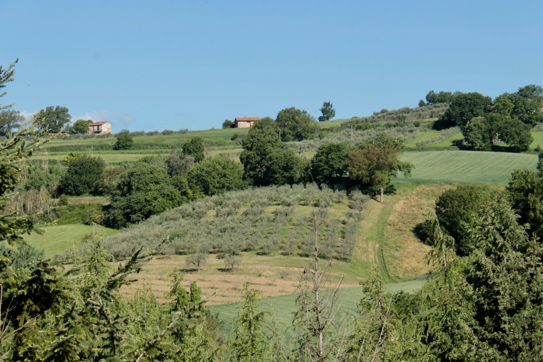 9216F04B-F265-4A86-90E1-5A098C2007EF