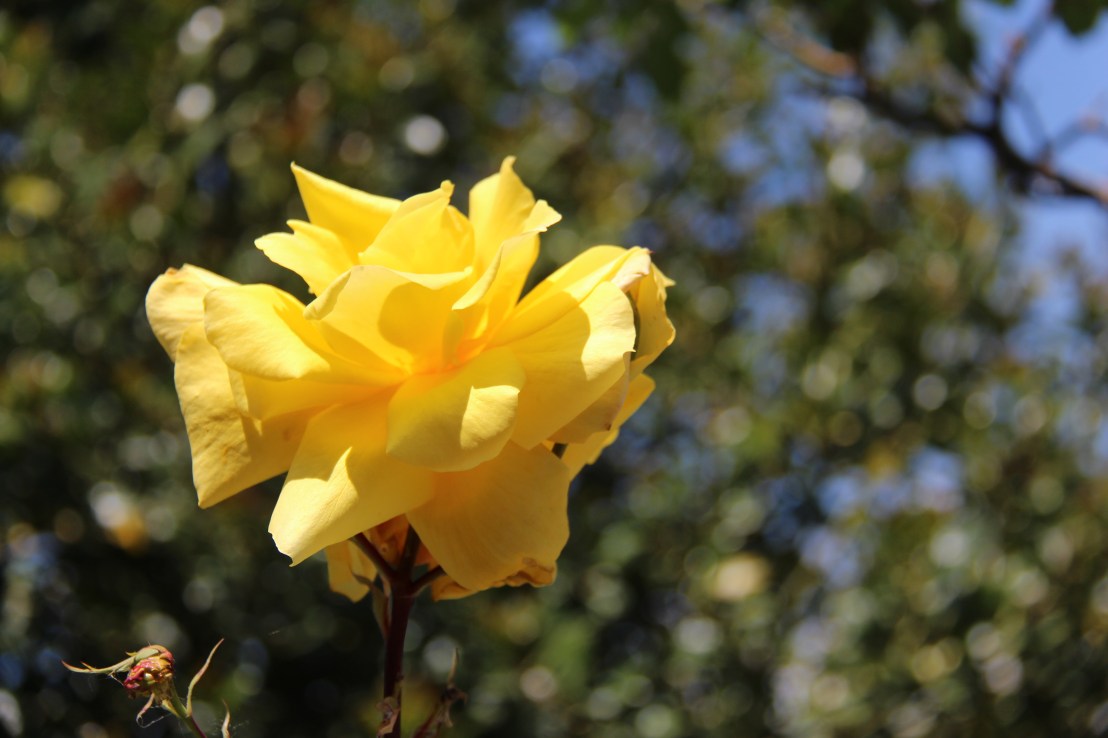 9F180C1B-5298-45D3-9B2E-143B59702A8C