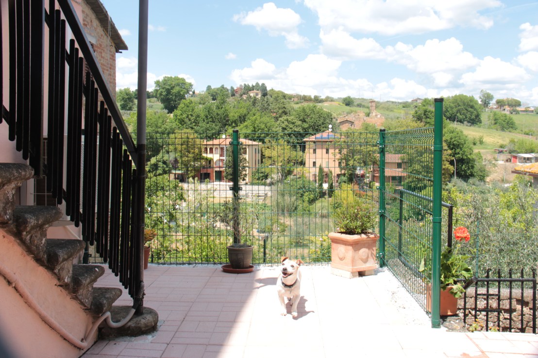 A27CC43E-F618-43B7-A1F7-4E68D56A27D9