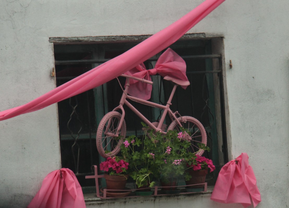 BF819972-A23D-44E1-A5BB-FC87C6754307