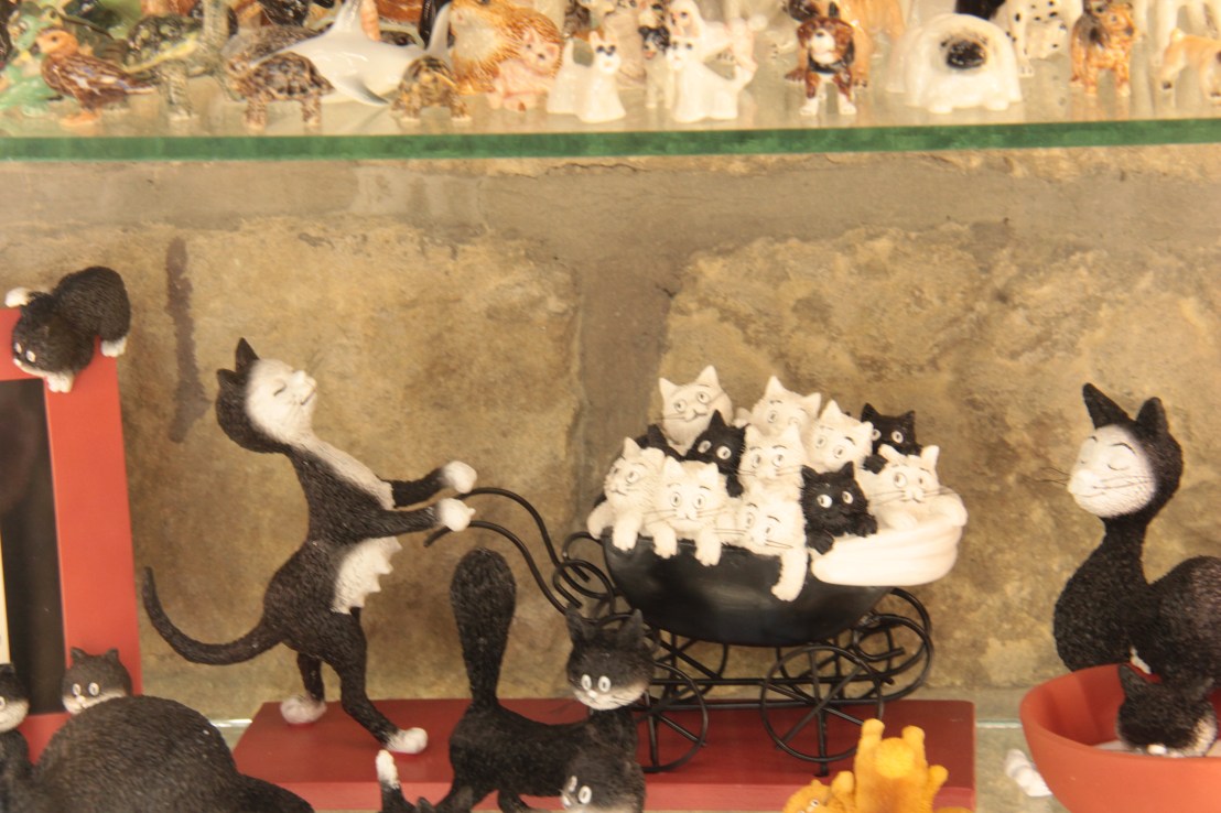 D2B3BF82-A724-46E6-A83E-F1A61349E4A1