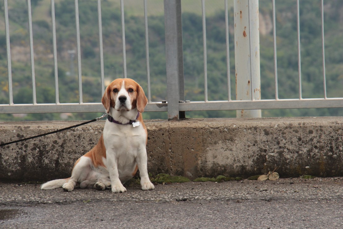 D5667FD8-B45A-49CD-9914-D3C23EBDEDF0