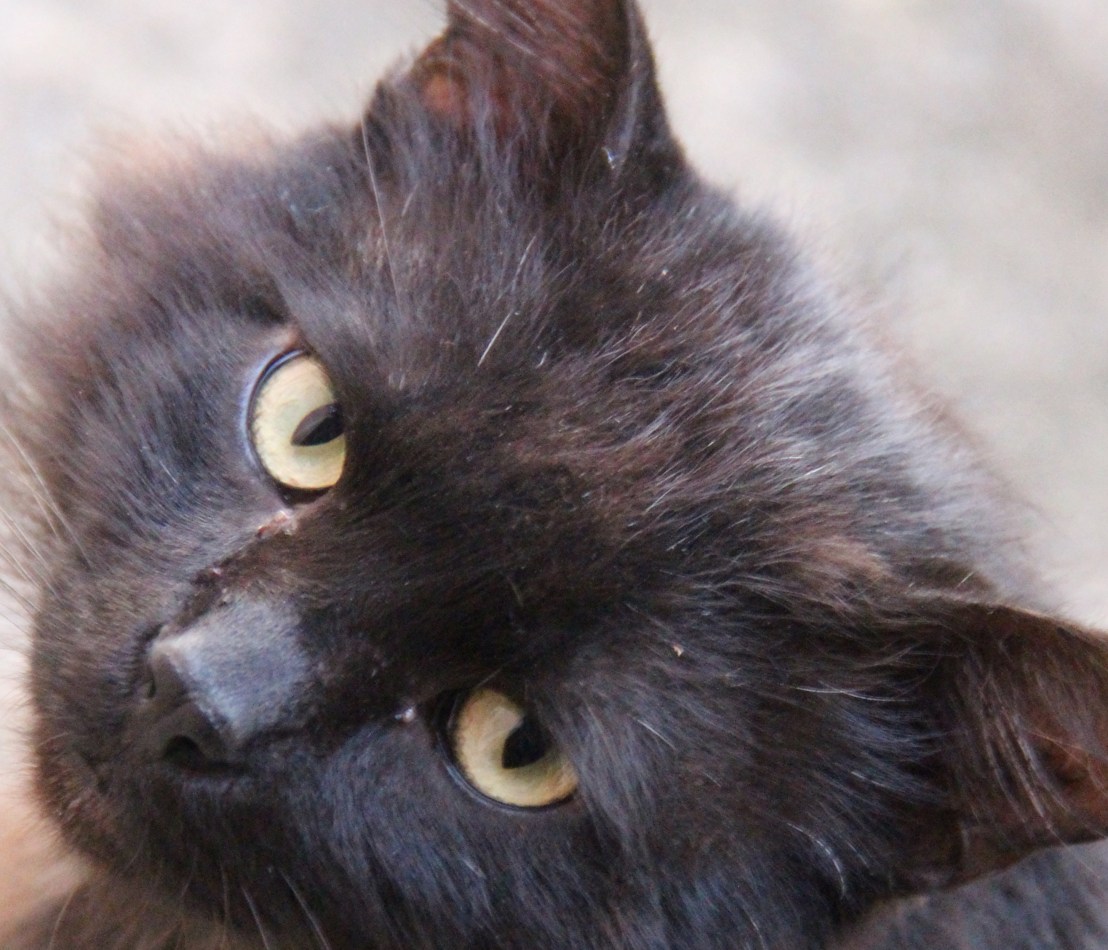 D73165B3-CAC6-4F4E-8835-723E39C9FEA6