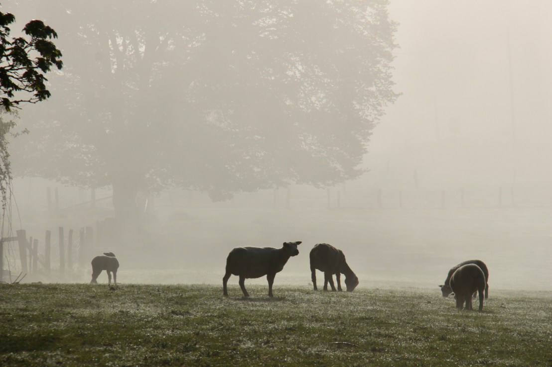 E530803A-175A-475B-9752-EFE2E1F4AB94