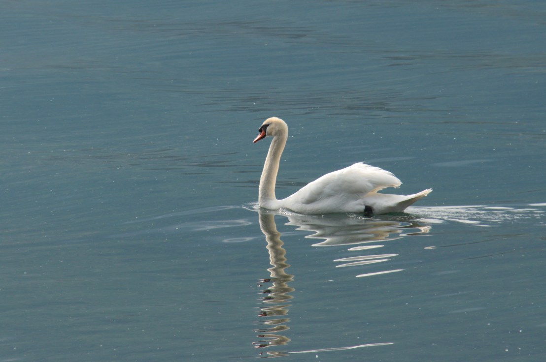 014483E6-B60A-4194-B3B2-CEEE222C2607