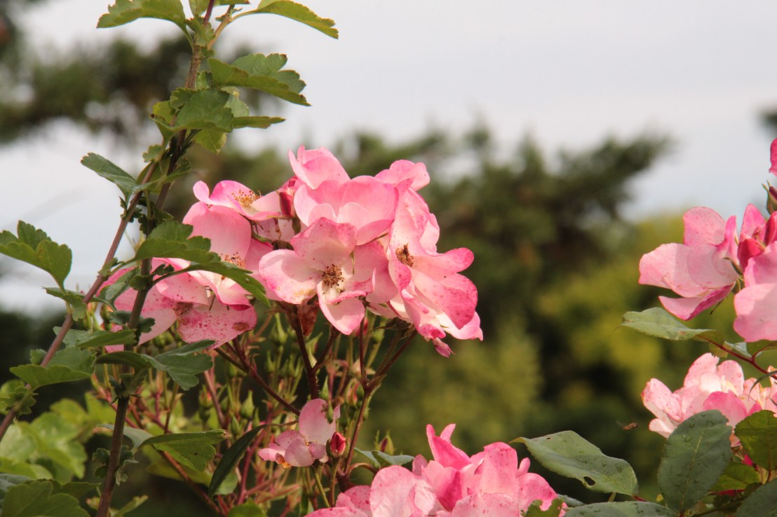 0BB056F7-305A-4906-91F3-E55EA593B86D