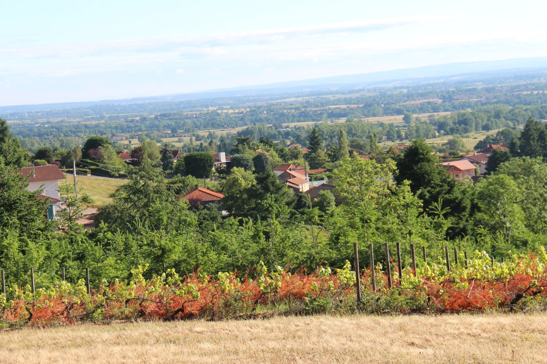 2B2C3422-78CE-4F8E-88E8-FBC4531AEBA5