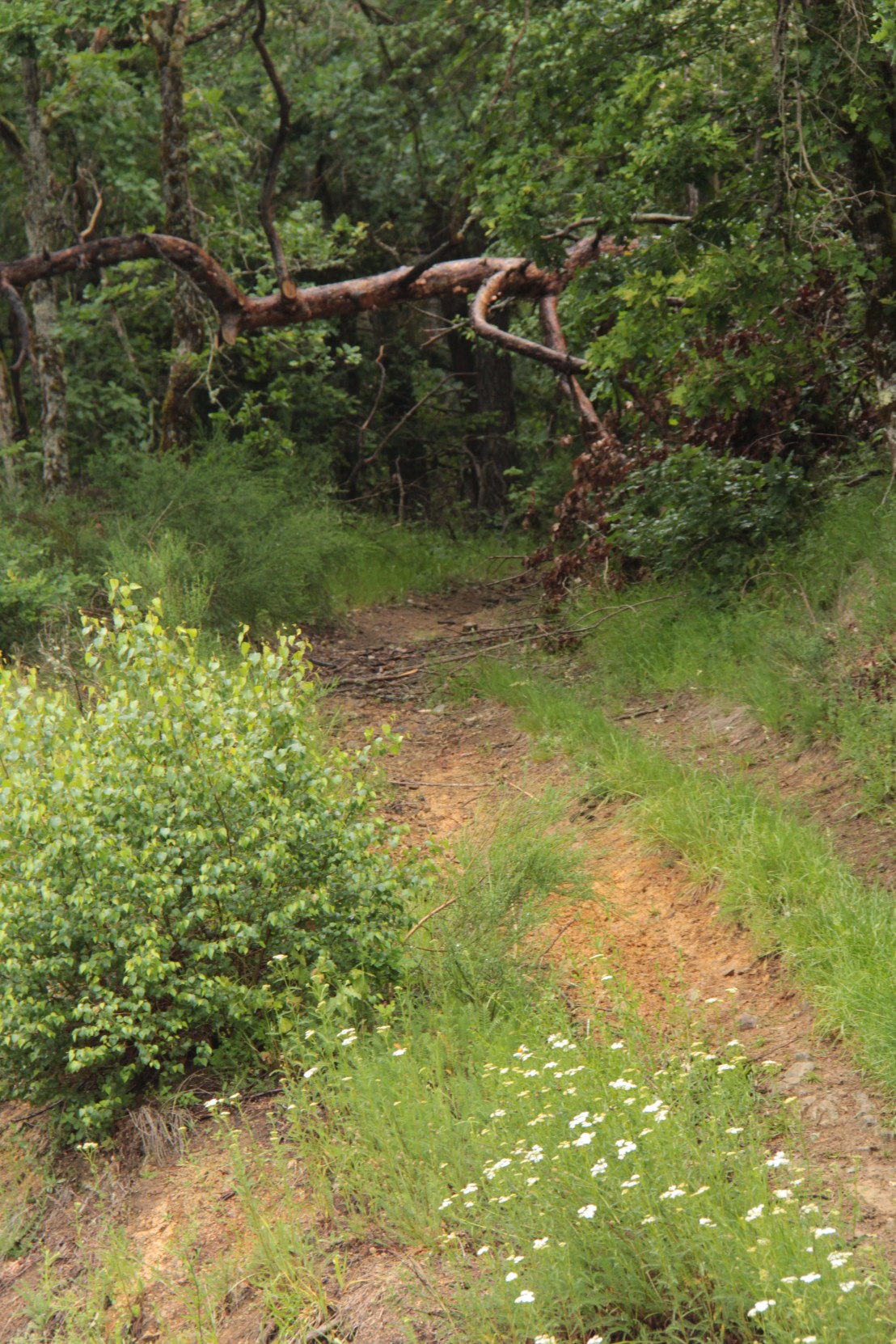 2E78ADF3-C4EC-49F7-BF52-58D72FF90CFB