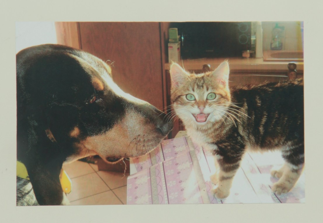 40041147-9134-4555-9794-B8F426E1FD7A