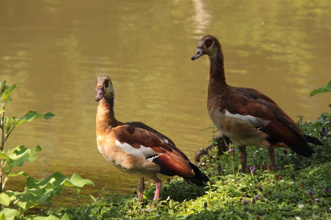 64CC8060-87F2-414F-BBB4-5384BE279368