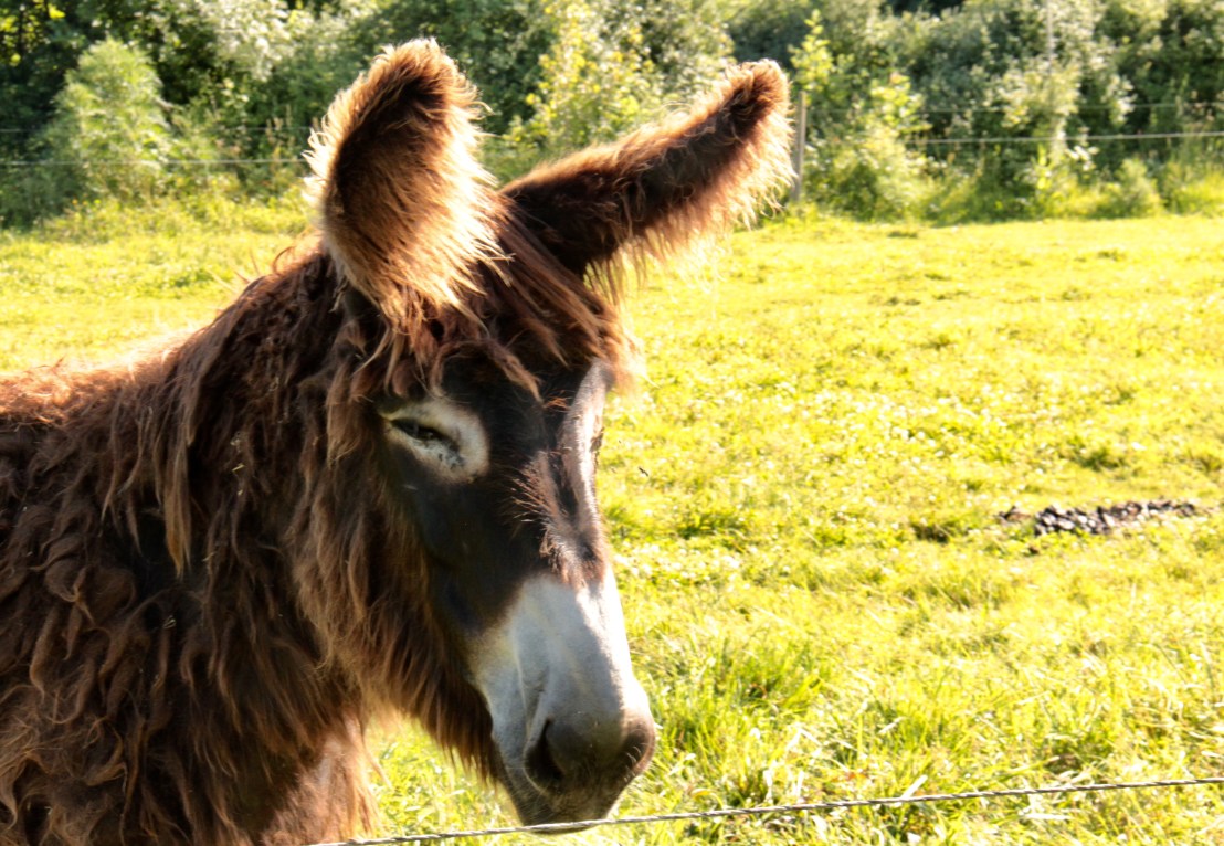 68FE0567-EE23-4A98-8C0B-1D6357351C6D