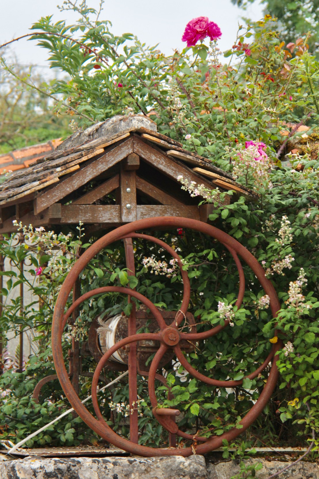 7AF4D1C6-ADD5-4478-982C-C475D072567B