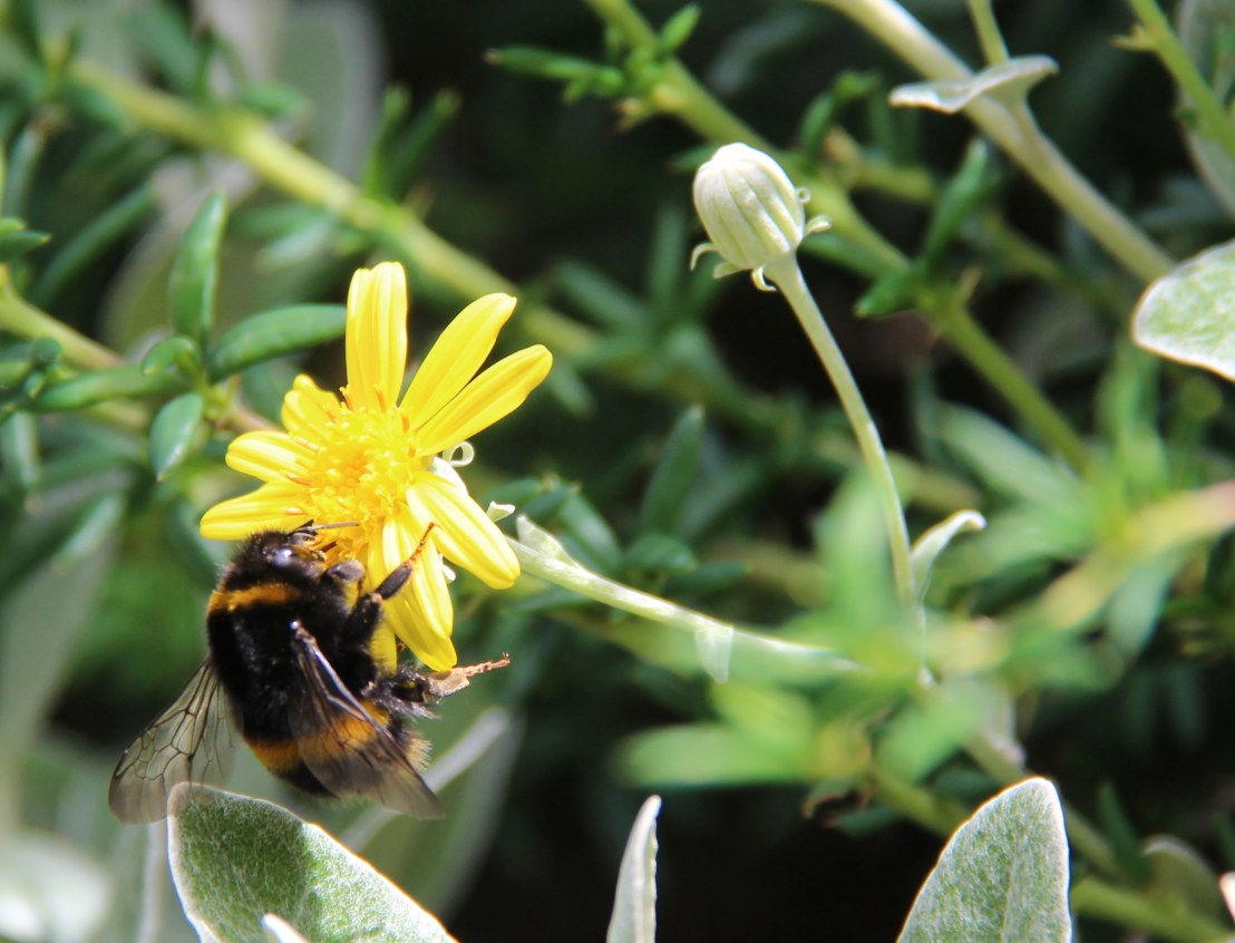 84E7D7C6-3F31-4368-BD5C-D4209D132DD4