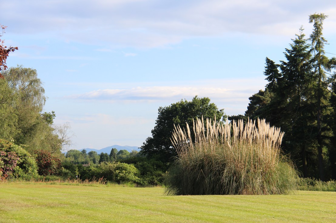 8E2A6A30-C70E-421B-90D9-37CC68C16393