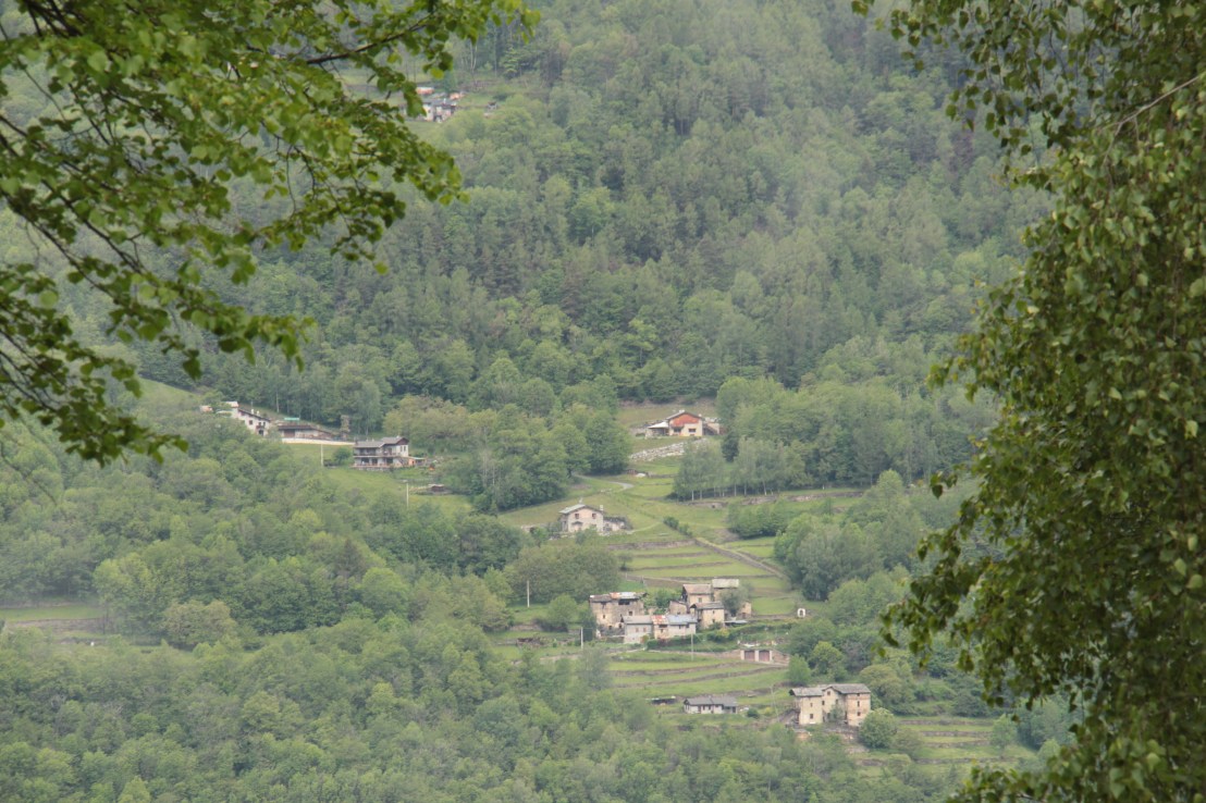 9E226C72-D215-4F1C-96E6-20F00DFB50E7