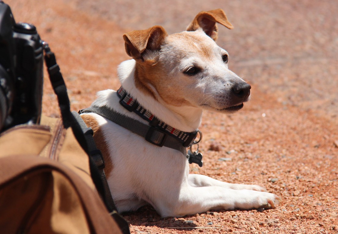 B8FC3CFC-3E48-42B9-B16D-1EDAD758C576