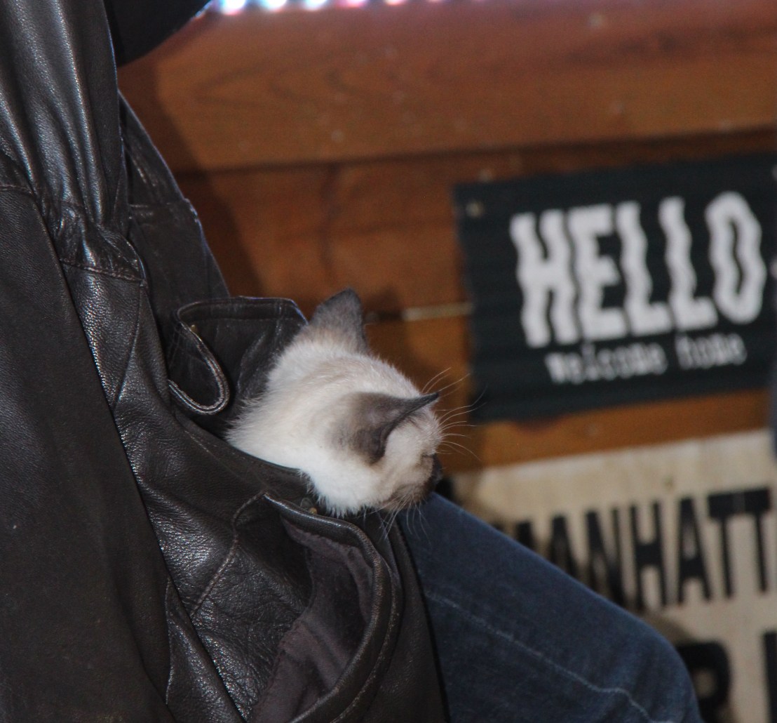 B92F4B14-92AA-4D96-8507-B0970C4B44C4