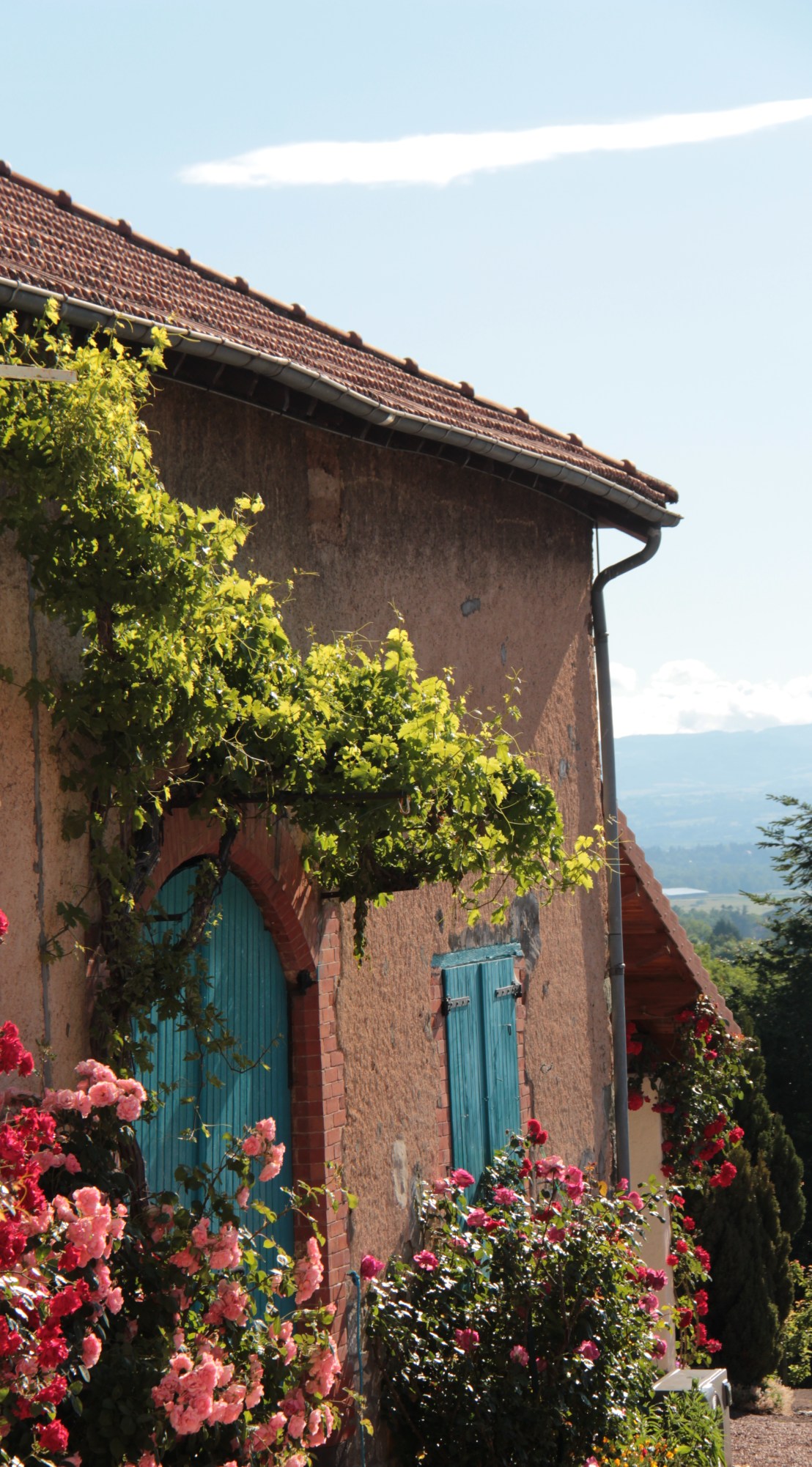 CBFC36AA-DC29-441B-8193-D28EC6C4C1D7