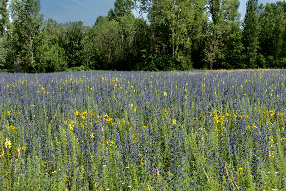 D2865306-4CD2-476E-9565-01B16F2BD893