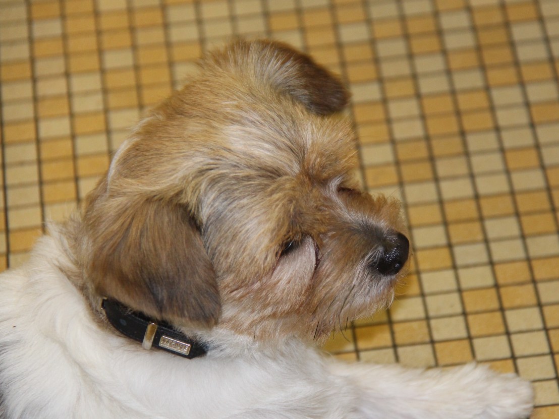 D5FCE6C1-CADF-4EE2-8E8C-98C1FF2F4201