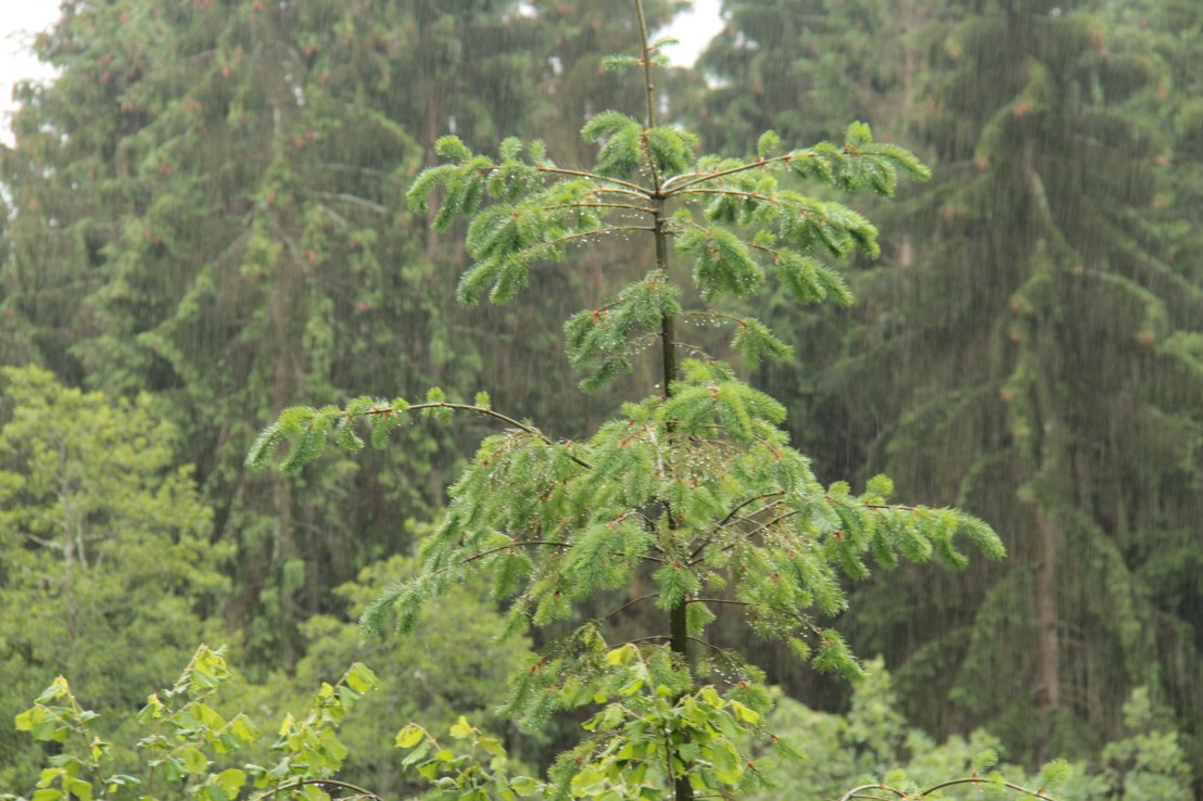 D888FF3B-C99F-4E4C-96C4-B8FFE4AECB20