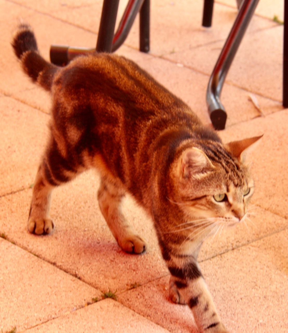 F4DB9672-E972-42F6-B5E4-A0B4EC541B84