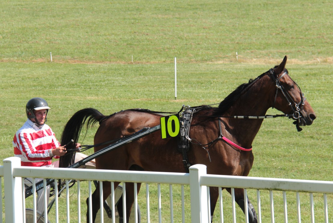 1095ECE5-3FF4-491A-BE70-1D7074206F38