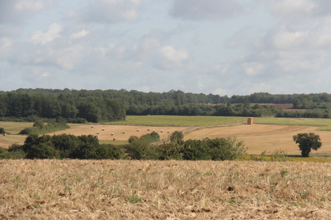 23903513-1605-4DDA-BC85-52A85AD6C3D2