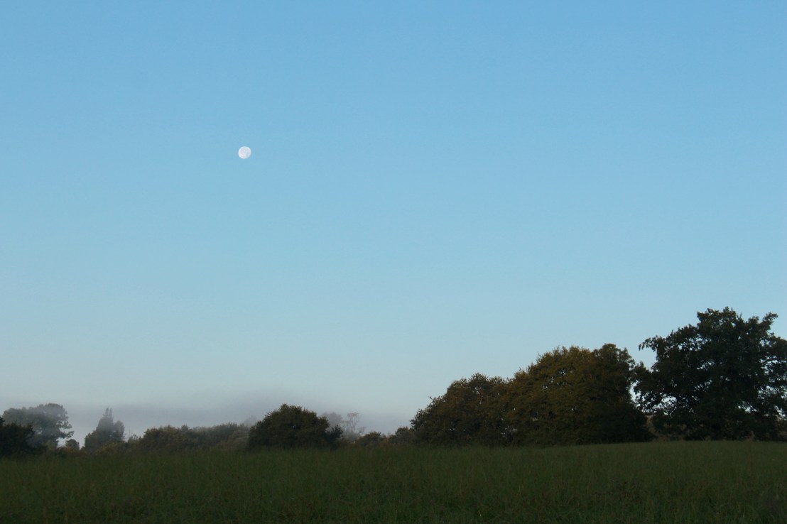 2393B7CE-8832-4FC2-AE38-F5767FED2747