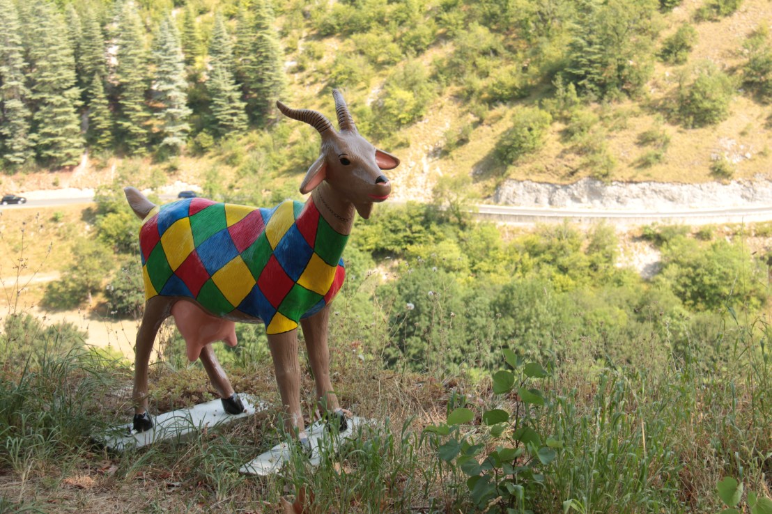 3251F0C9-9A92-4E1F-8E6A-12D846CFB12C