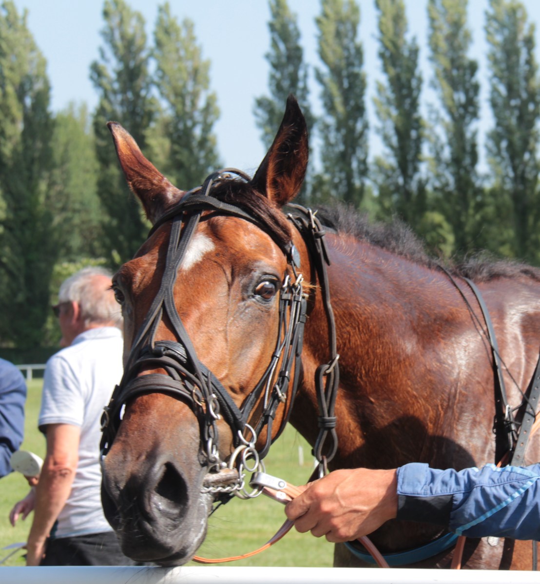 3933B5A2-5ECA-4114-A89F-D6E312F81FFC