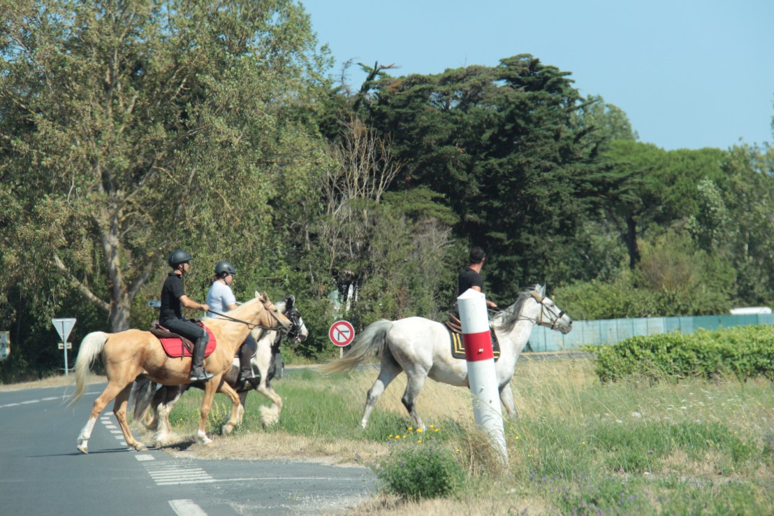 3953C662-4DD3-4876-A9E4-CE943E5FB8CC