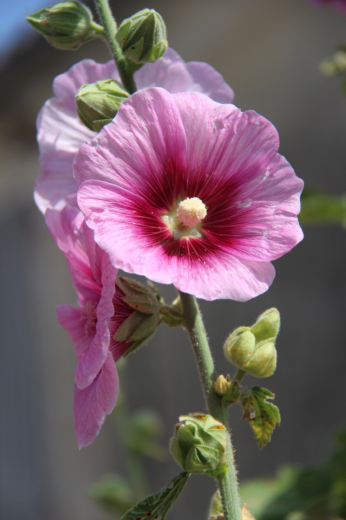 61D34AA2-C532-44CE-92E3-55B2FAF133AB