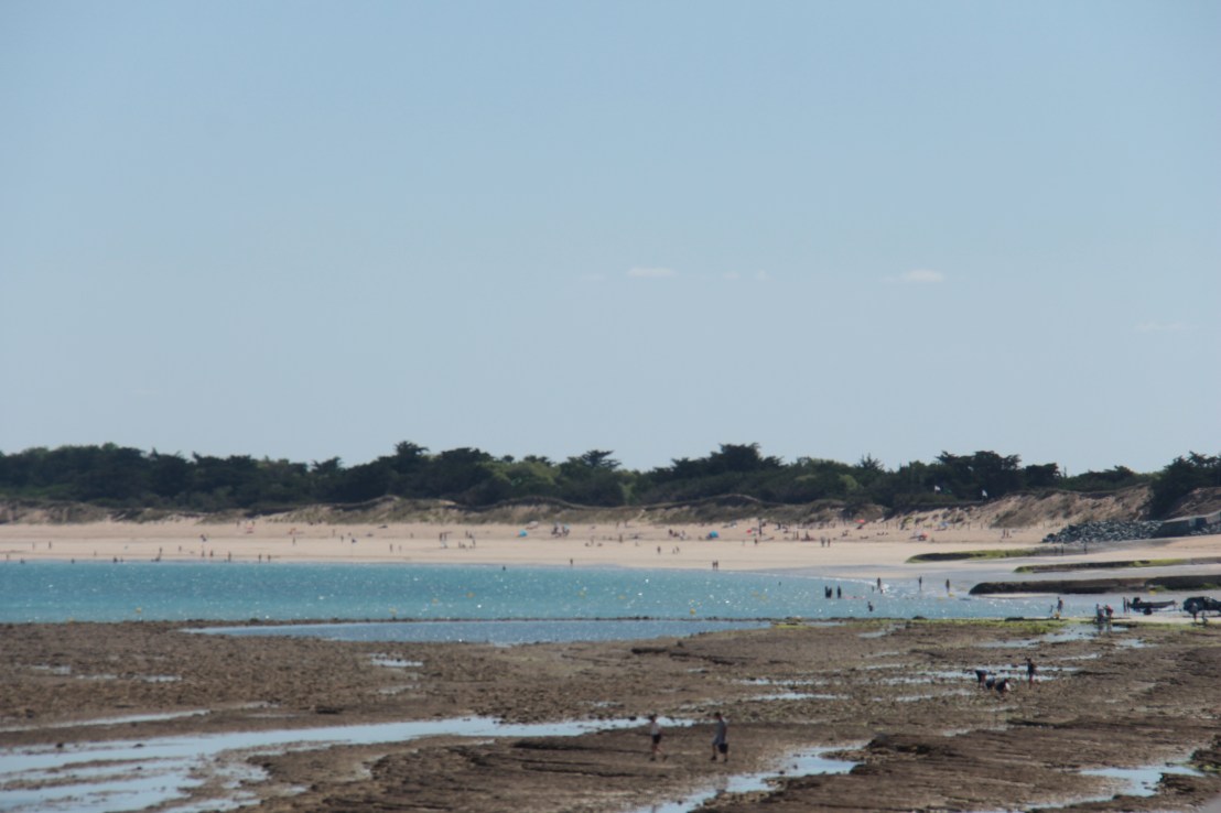 65E16A4E-7C4A-4608-BBD5-02ED2DE915B3