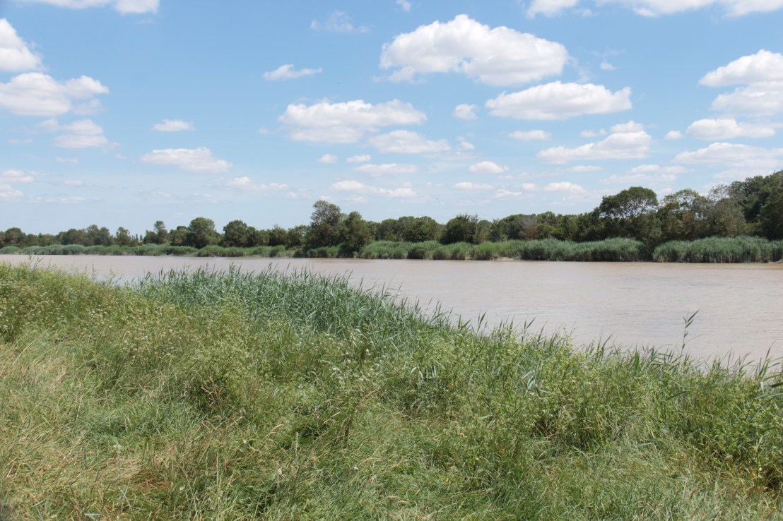 6E448D51-FDE6-42AA-B035-9B8890B05D48