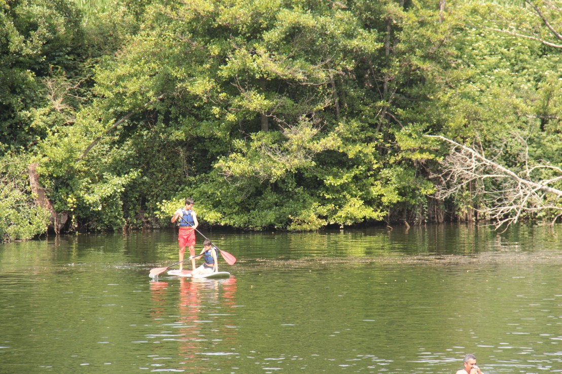 736CA283-C125-4484-AAF7-0284B915EA0B