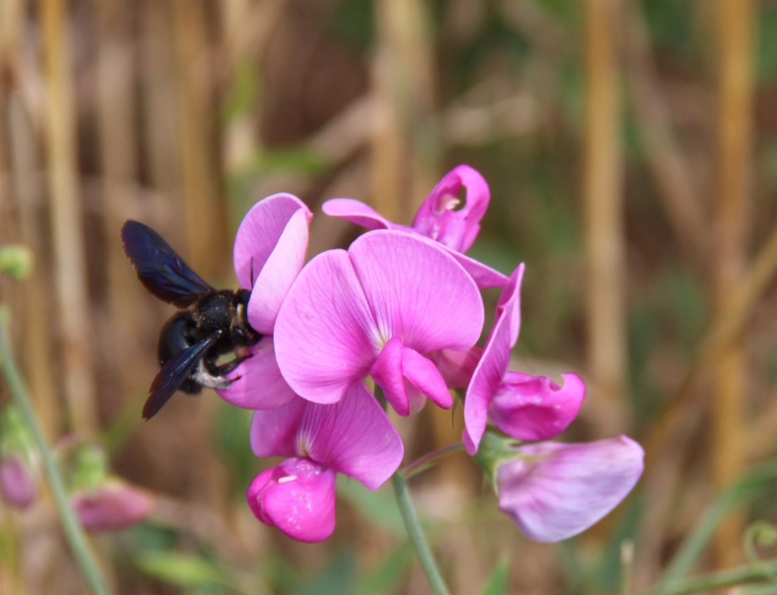 75C73176-5F14-4B00-BA21-2AB1BF3444C5