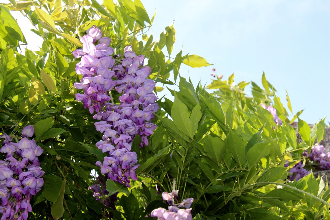 8EE7DCD5-7BDD-44B0-A47D-350FBC8D4D44