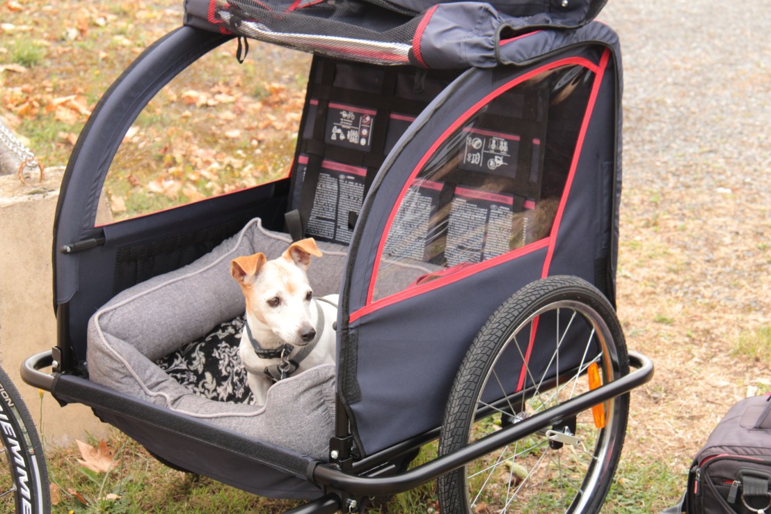 C012B26F-2F88-4956-9043-E4D47048A023