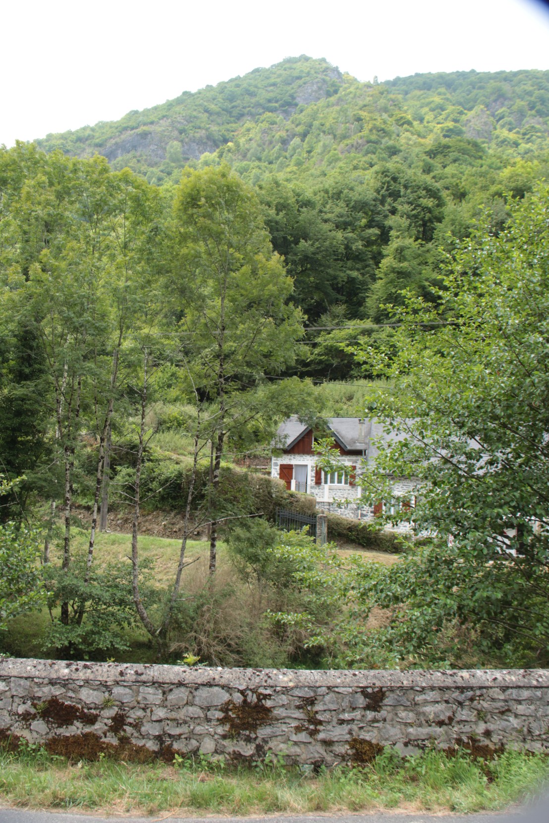 C48BEAD9-95C4-4177-8A04-D4483DBD9063