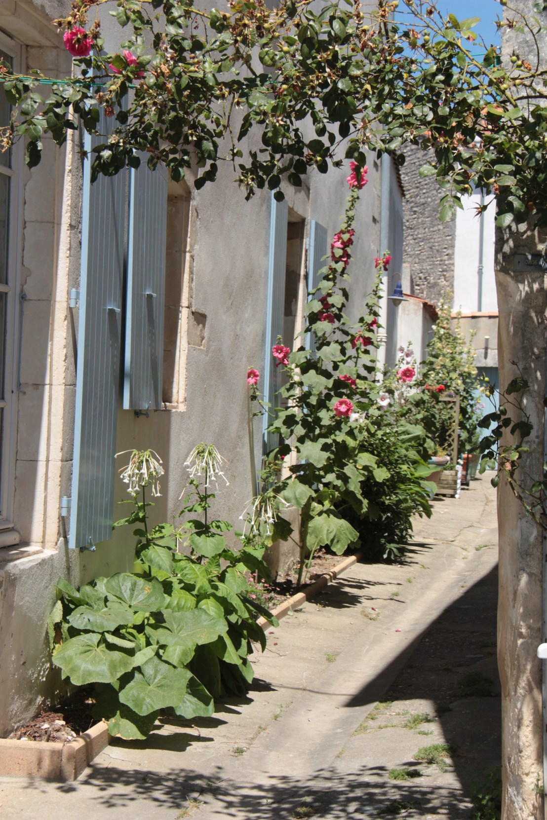 C5629A73-5E46-4F43-AAFF-26CE38CB2B58