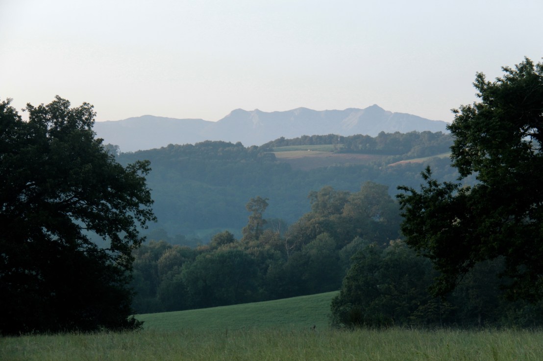 D9730881-A7EE-47BB-8D75-4F4F20FB24F5